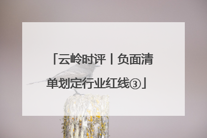 云岭时评丨负面清单划定行业红线③