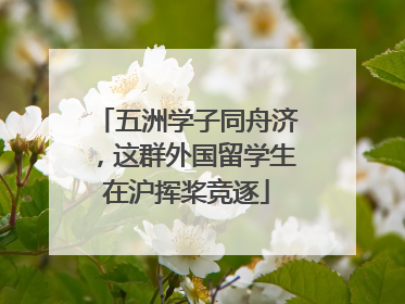 五洲学子同舟济，这群外国留学生在沪挥桨竞逐