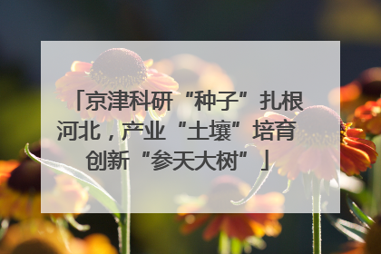 京津科研“种子”扎根河北，产业“土壤”培育创新“参天大树”