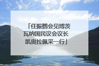 任振鹤会见博茨瓦纳国民议会议长凯奥拉佩采一行