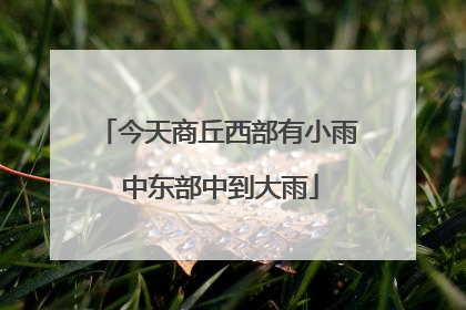 今天商丘西部有小雨 中东部中到大雨