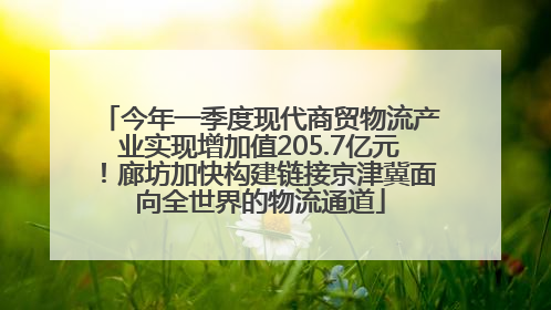 今年一季度现代商贸物流产业实现增加值205.7亿元！廊坊加快构建链接京津冀面向全世界的物流通道