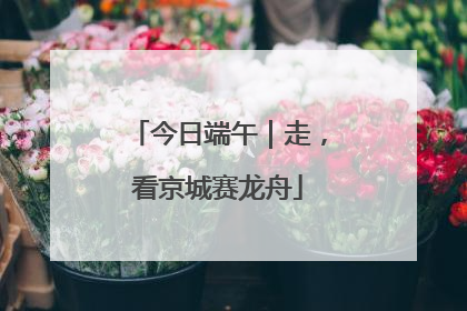 今日端午｜走，看京城赛龙舟