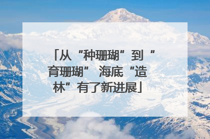 从“种珊瑚”到“育珊瑚” 海底“造林”有了新进展