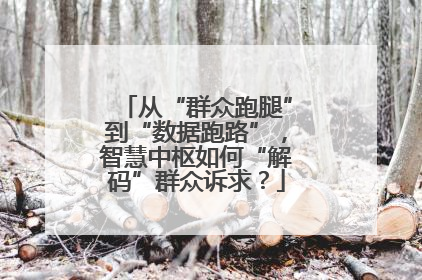 从“群众跑腿”到“数据跑路”，智慧中枢如何“解码”群众诉求？
