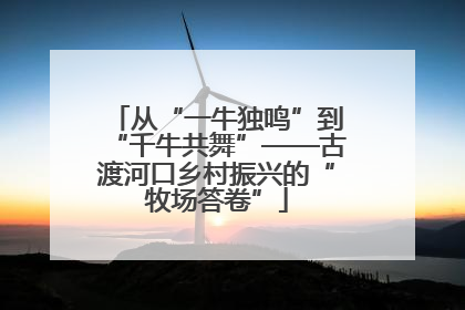从“一牛独鸣”到“千牛共舞”——古渡河口乡村振兴的“牧场答卷”