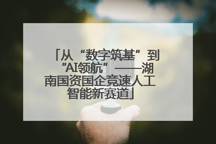 从“数字筑基”到“AI领航”——湖南国资国企竞速人工智能新赛道
