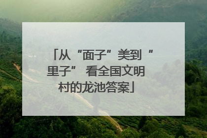 从“面子”美到“里子” 看全国文明村的龙池答案