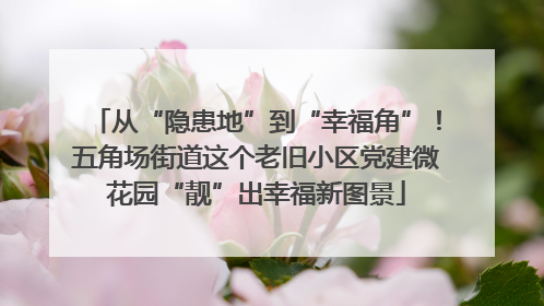 从“隐患地”到“幸福角”！五角场街道这个老旧小区党建微花园“靓”出幸福新图景