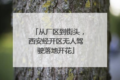 从厂区到街头，西安经开区无人驾驶落地开花