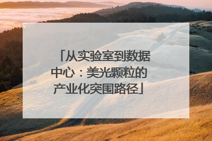 从实验室到数据中心：美光颗粒的产业化突围路径