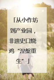 从小作坊到产业园，非遗史口烧鸡“涅槃重生”