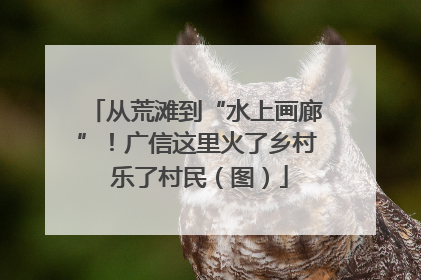 从荒滩到“水上画廊”！广信这里火了乡村 乐了村民（图）