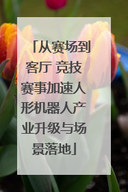 从赛场到客厅 竞技赛事加速人形机器人产业升级与场景落地