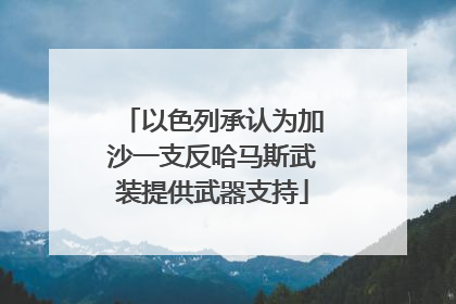 以色列承认为加沙一支反哈马斯武装提供武器支持