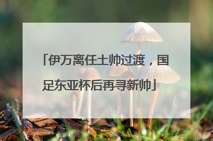 伊万离任土帅过渡，国足东亚杯后再寻新帅