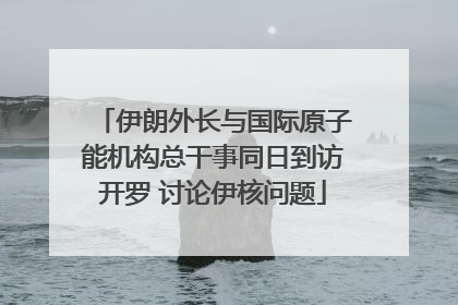 伊朗外长与国际原子能机构总干事同日到访开罗 讨论伊核问题