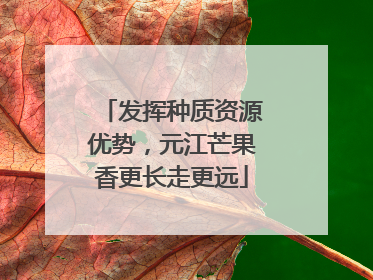发挥种质资源优势，元江芒果香更长走更远