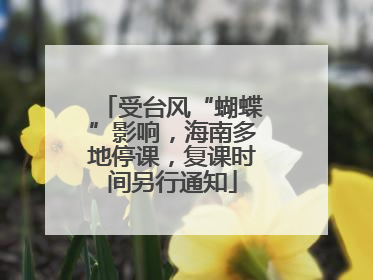 受台风“蝴蝶”影响，海南多地停课，复课时间另行通知