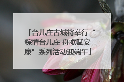 台儿庄古城将举行“粽情台儿庄 舟歌赋安康”系列活动迎端午