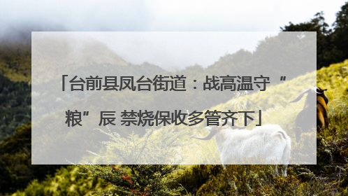 台前县凤台街道：战高温守“粮”辰 禁烧保收多管齐下