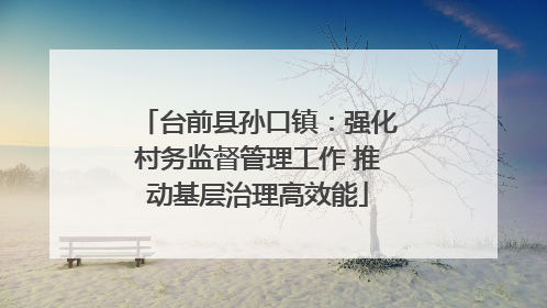 台前县孙口镇：强化村务监督管理工作 推动基层治理高效能