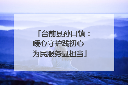 台前县孙口镇：暖心守护践初心 为民服务显担当