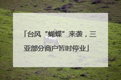 台风“蝴蝶”来袭，三亚部分商户暂时停业