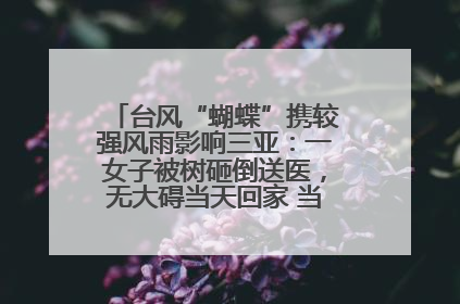 台风“蝴蝶”携较强风雨影响三亚：一女子被树砸倒送医，无大碍当天回家 当地已紧急清障