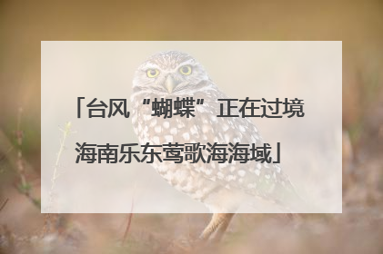 台风“蝴蝶”正在过境海南乐东莺歌海海域