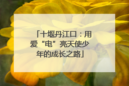 十堰丹江口：用爱“电”亮天使少年的成长之路
