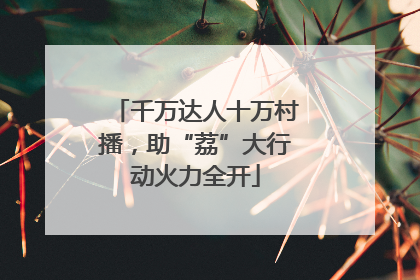 千万达人十万村播，助“荔”大行动火力全开