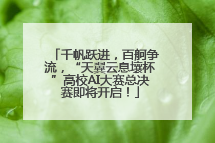 千帆跃进，百舸争流，“天翼云息壤杯”高校AI大赛总决赛即将开启！