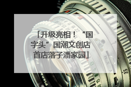 升级亮相！“国字头”国潮文创店首店落子潘家园