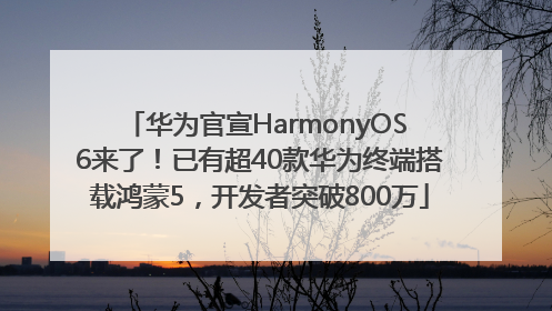 华为官宣HarmonyOS 6来了！已有超40款华为终端搭载鸿蒙5，开发者突破800万