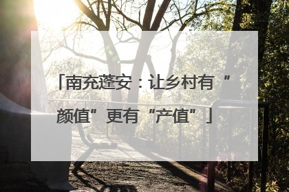 南充蓬安：让乡村有“颜值”更有“产值”