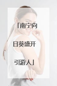 南宁向日葵盛开引游人