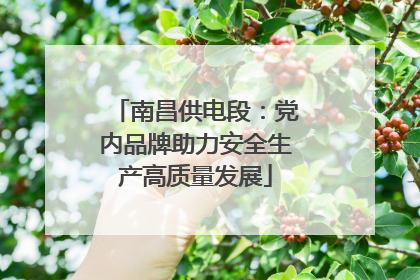 南昌供电段：党内品牌助力安全生产高质量发展
