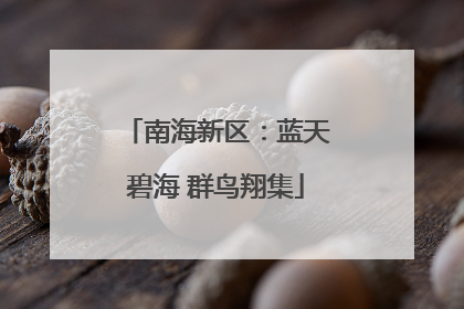 南海新区：蓝天碧海 群鸟翔集