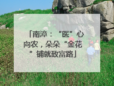 南漳：“医”心向农，朵朵“金花”铺就致富路
