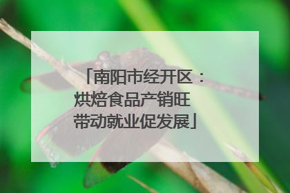 南阳市经开区：烘焙食品产销旺 带动就业促发展