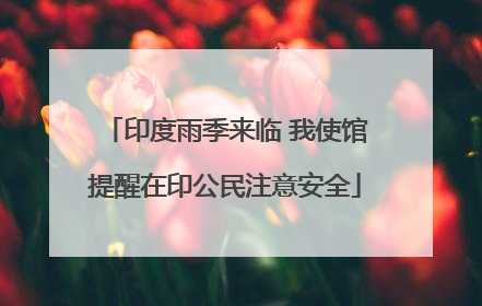 印度雨季来临 我使馆提醒在印公民注意安全