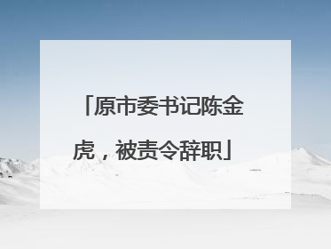 原市委书记陈金虎，被责令辞职