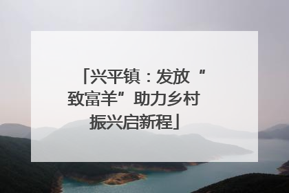 兴平镇：发放“致富羊”助力乡村振兴启新程