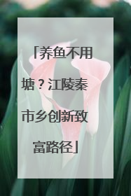 养鱼不用塘？江陵秦市乡创新致富路径