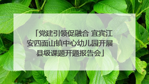 党建引领促融合 宜宾江安四面山镇中心幼儿园开展县级课题开题报告会
