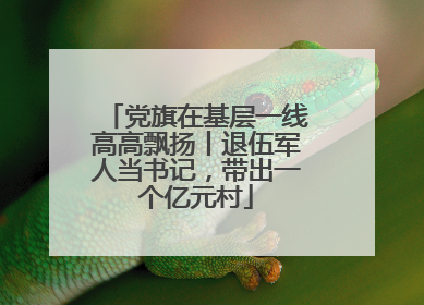 党旗在基层一线高高飘扬丨退伍军人当书记，带出一个亿元村