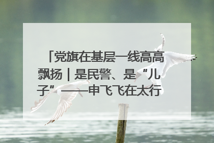 党旗在基层一线高高飘扬｜是民警、是“儿子”——申飞飞在太行山中的一线坚守