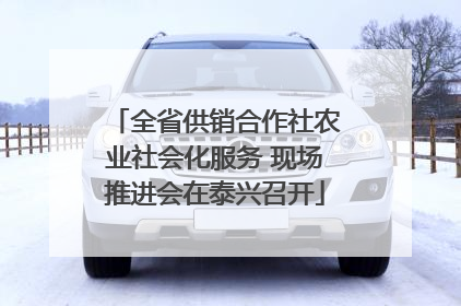 全省供销合作社农业社会化服务 现场推进会在泰兴召开