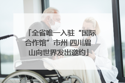 全省唯一入驻“国际合作馆”市州 四川眉山向世界发出邀约